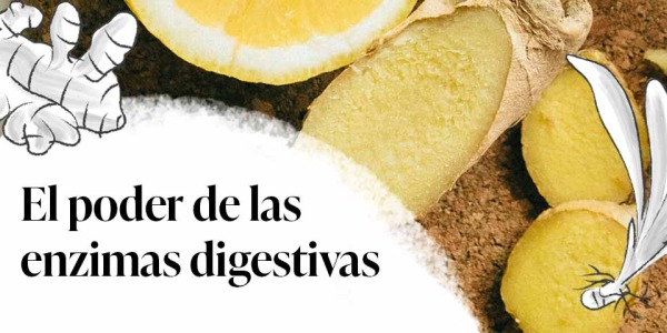 El poder de las enzimas digestivas