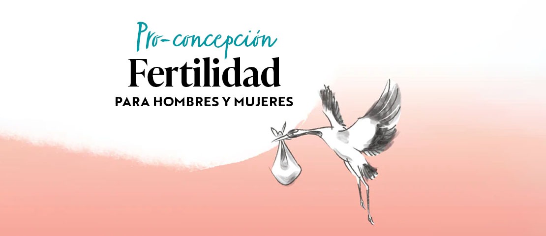 ¿Cuál es la dieta y los complementos alimenticios óptimos para la fertilidad?