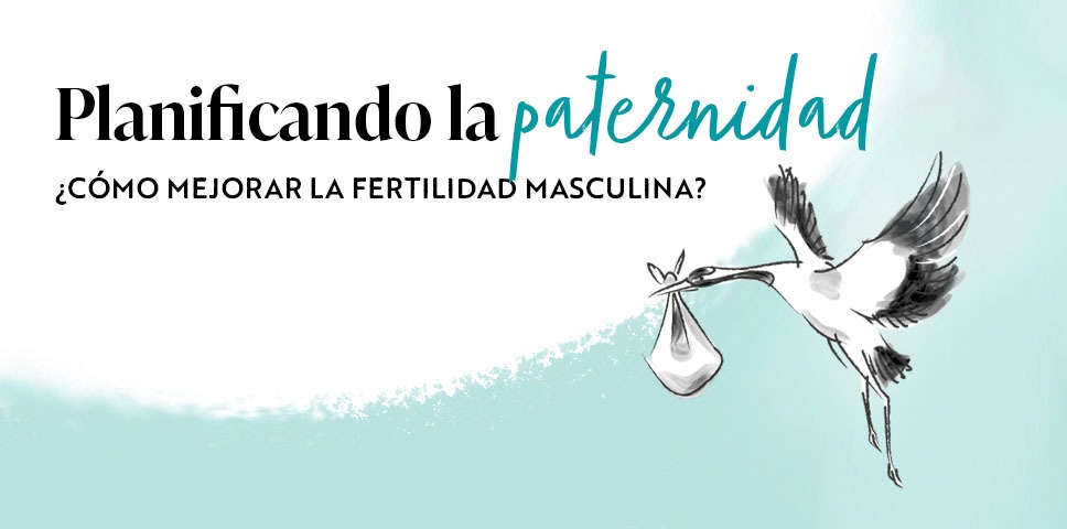 Planificando la paternidad: Mejorando la fertilidad masculina