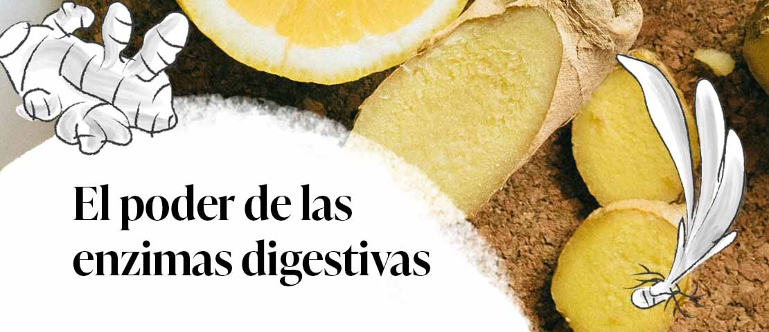 El poder de las enzimas digestivas